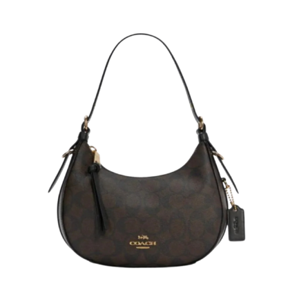 Co.ach Bag | Kleo Hobo Signature Canvas Chestnut Beige