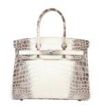 Her.mes | Birkin 30 Himalaya Niloticus Crocodile Handbag