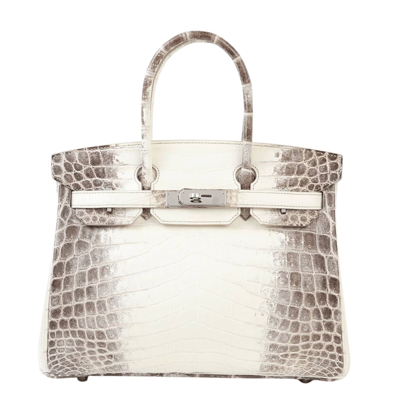 WhatsApp_Image_2025-11-24_at_6.58.26_PM_2 Her.mes | Birkin 30 Himalaya Niloticus Crocodile Handbag - Image 1