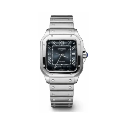 Car.tier Watch | Santos de Car.tier Steel Blue Dial
