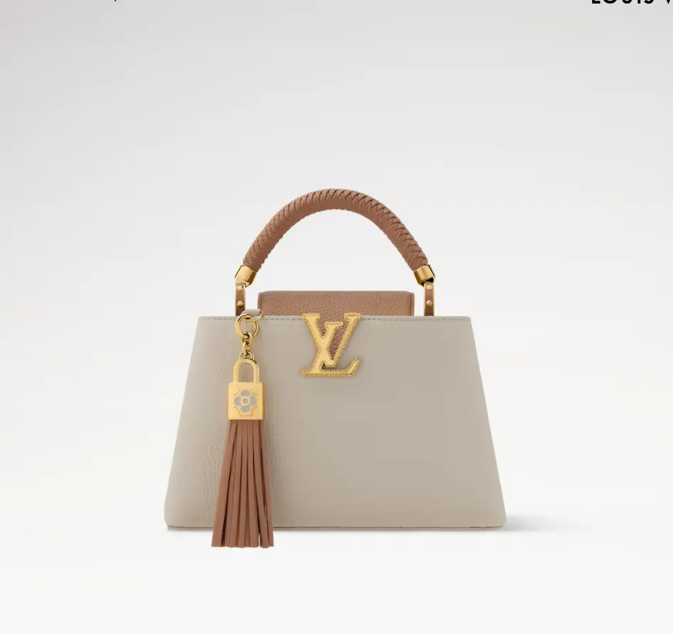 LV CAPUCINES BB handbag