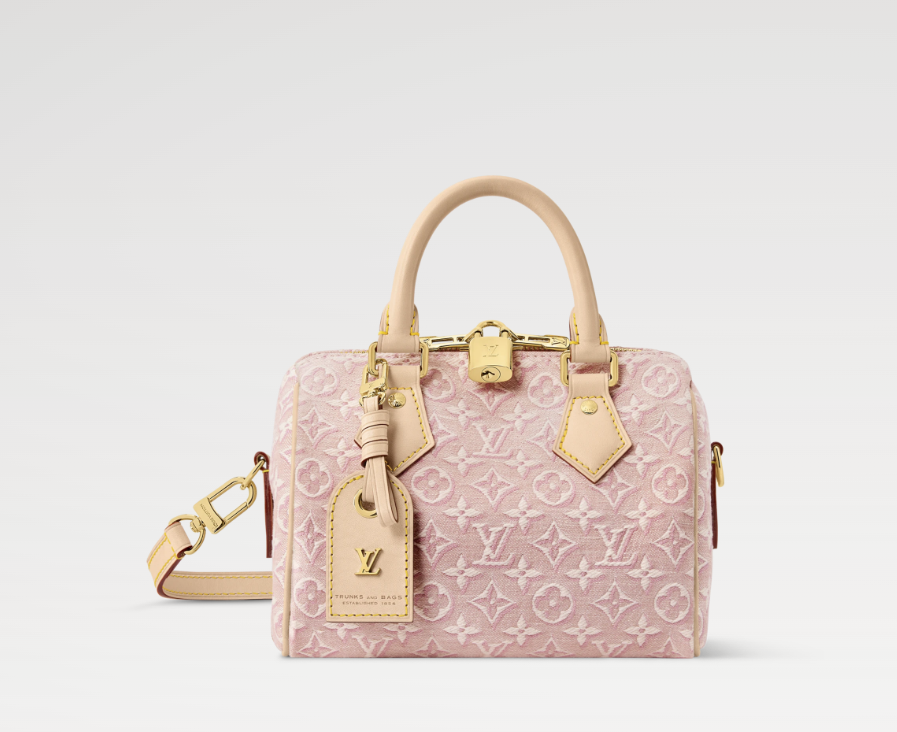 SPEEDY BANDOULIÈRE 20 handbag