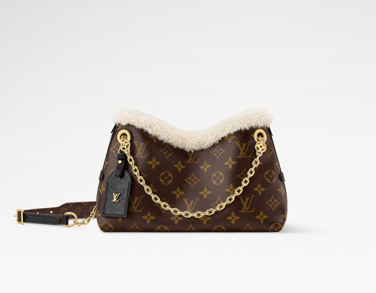CARRYALL BB handbag