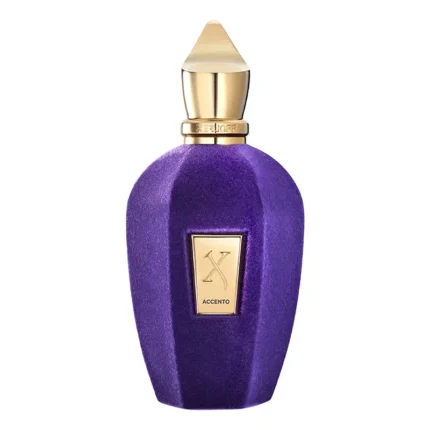 Xerjoff Accento Eau de Parfum 100ML –