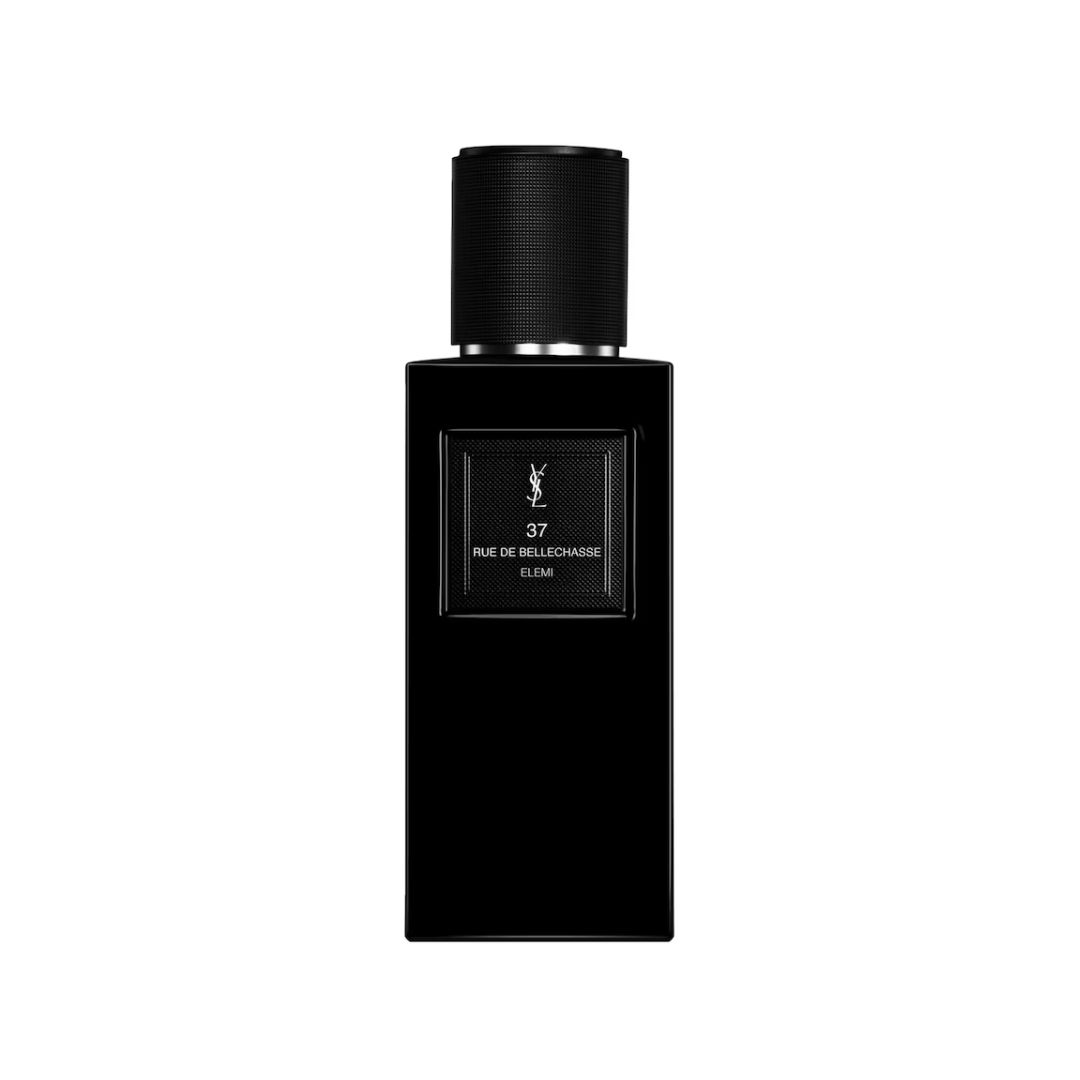 37 rue de Bellechasse Yves Saint Laurent