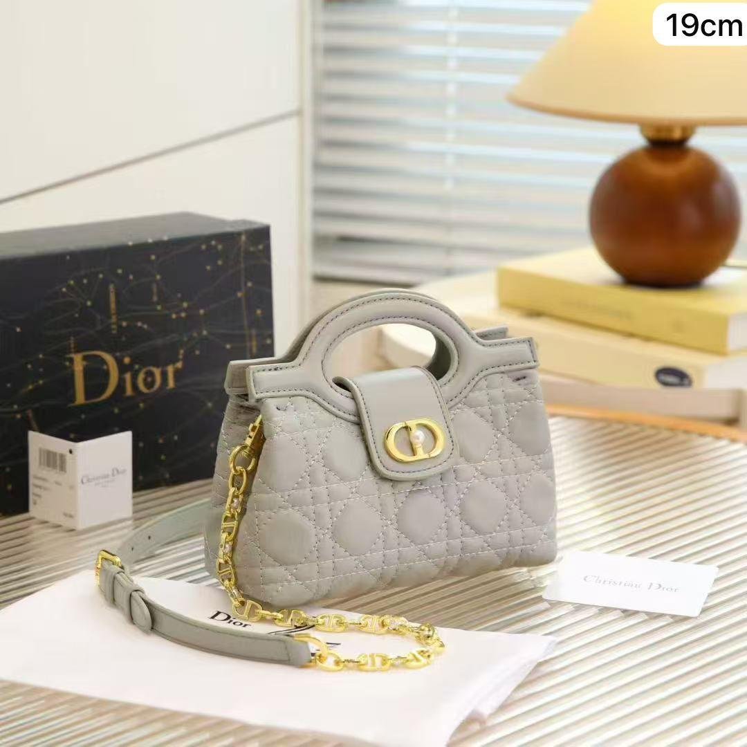 Ash Gray 19cm Luxury Iconic Designer Bag