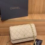 Chanel 33814 Wallet on Chain – Beige, 19 cm